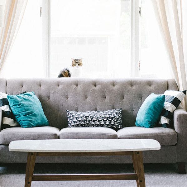 Salón de casa con sofá